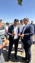 Փոխմարզպետմ այցելել է Բաղրամյան համայնք՝ նախօրեին տեղացած ուժգին կարկուտի հետևանքով պատճառված վնասները տեղում գնահատելու համար Փոխմարզպետմ այցելել է Բաղրամյան համայնք՝ նախօրեին տեղացած ուժգին կարկուտի հետևանքով պատճառված վնասները տեղում գնահատելու համար