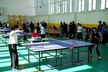 Տեղի են ունեցել &laquo;Հայաստանի Հանրապետության վարչապետի գավաթ&raquo; սեղանի թենիսի սիրողական մրցաշարի մարզային փուլերը