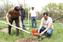 Ծառատունկ՝ Արագած բնակավայրի հուշարձան-պուրակում